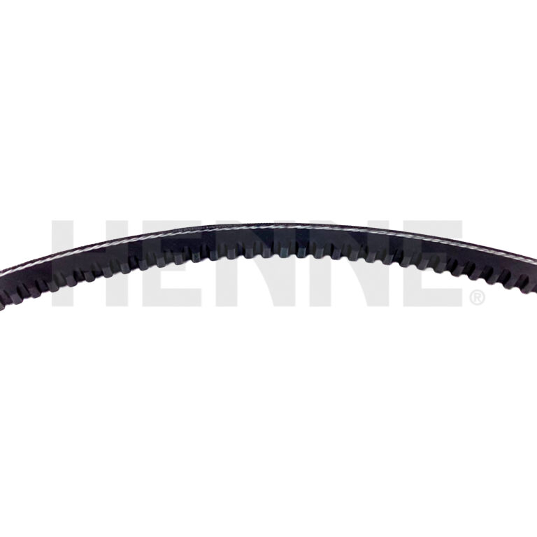 Keilriemen 13 x 1.350 – Bild 2