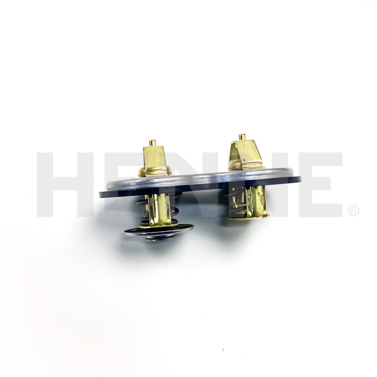 Thermostat mit Dichtung – Bild 2