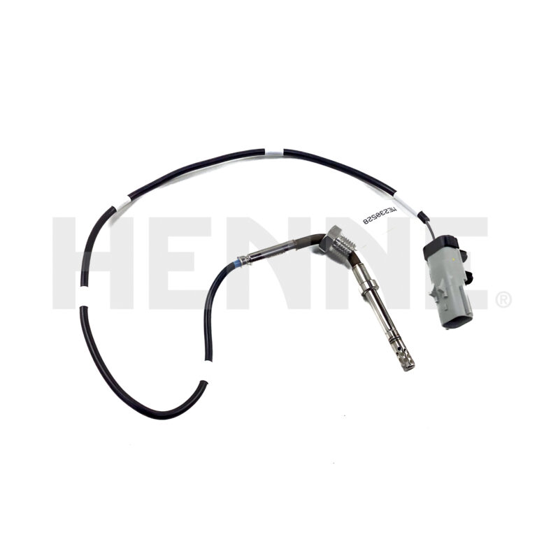 Sensor Auspuff