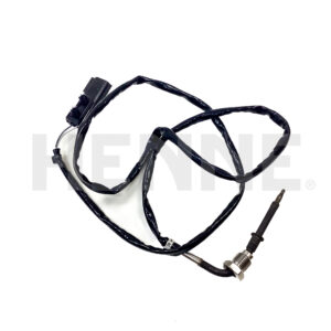 Sensor Auspuff
