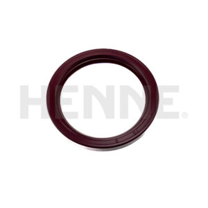 Radialdichtring