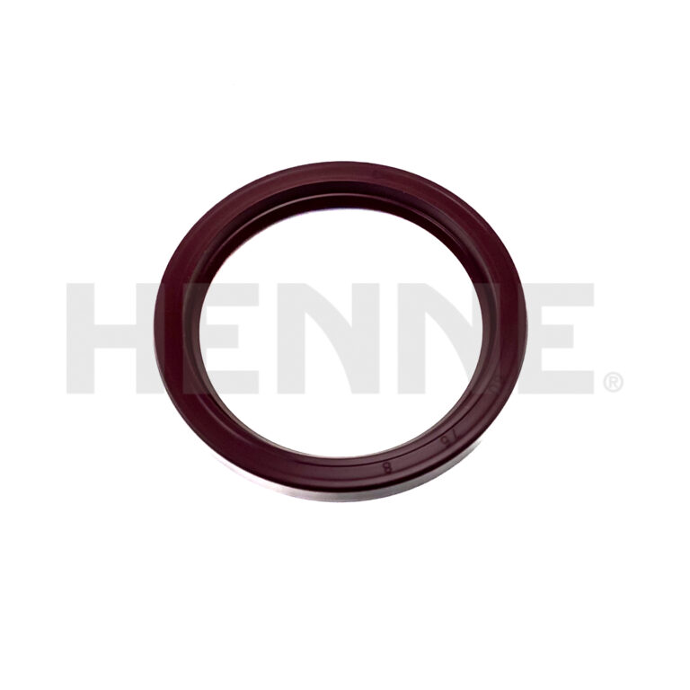 Radialdichtring