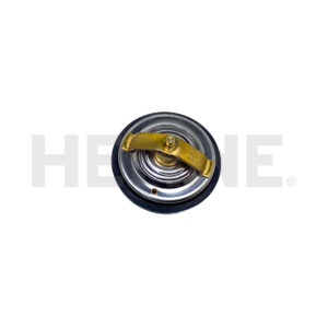 Thermostat Vm*