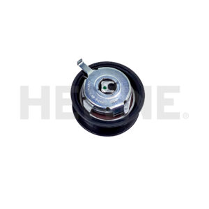 Spannrolle mit Hebel Wasserpumpe