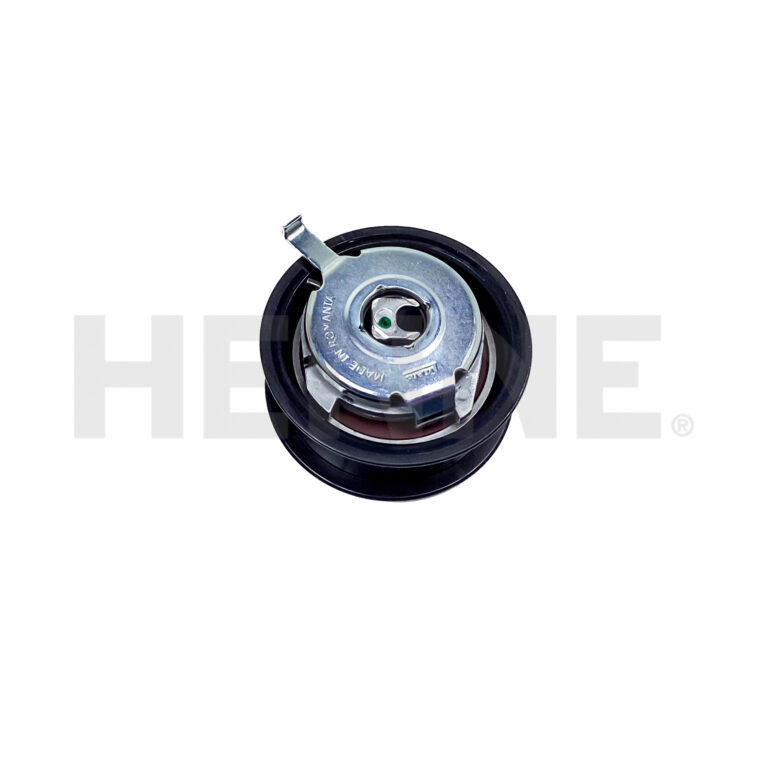 Spannrolle mit Hebel Wasserpumpe