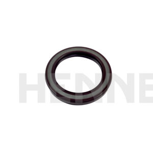 Radialdichtring 40x55x6 verst(1231123-2)