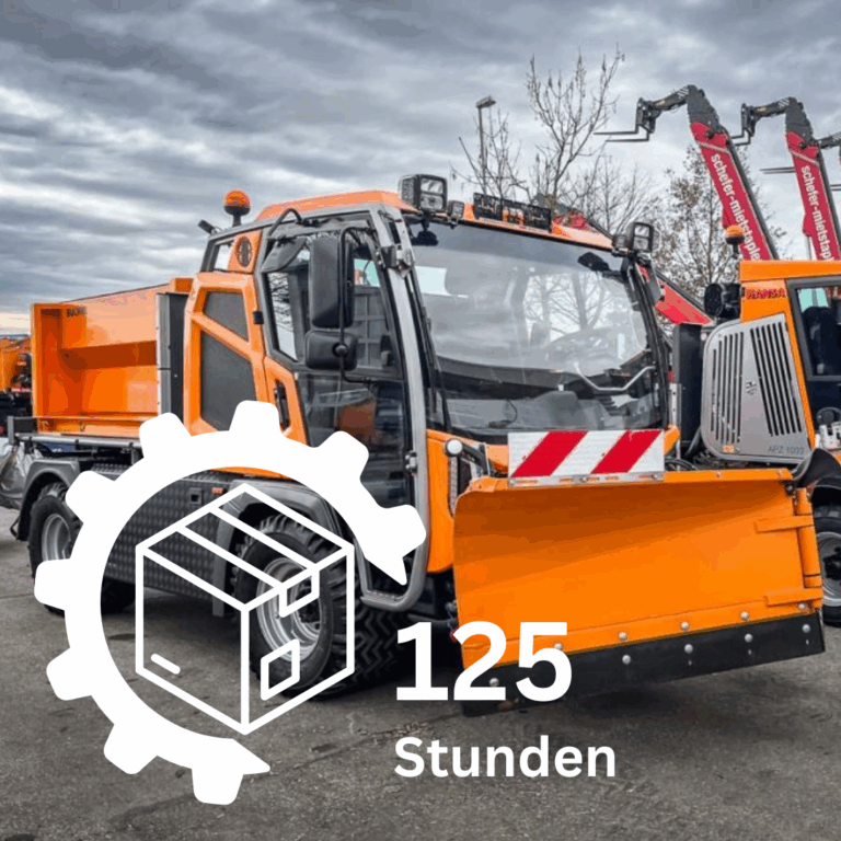 Hansa APZ1003 Servicepaket bei 125 Stunden
