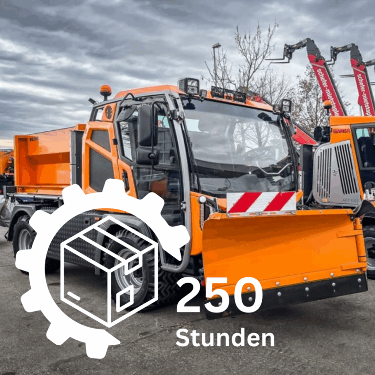 Hansa APZ1003 Servcepaket bei 250 Stunden